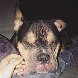 Meet your Posher, Cassidy